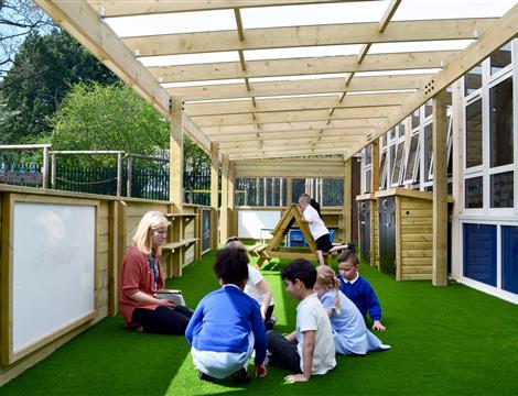 Timber Canopies